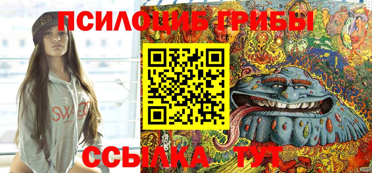 Советск  Псилоцибиновые грибы Cubensis  Вход с VPN 